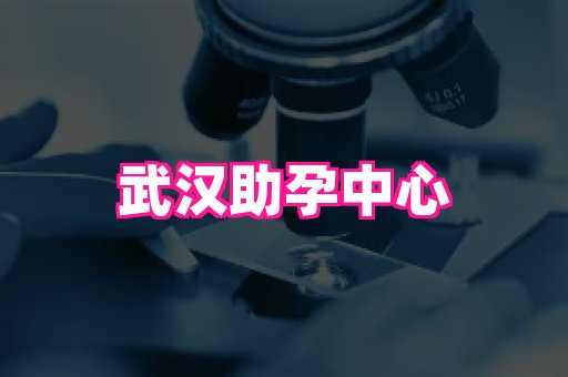 nub孕网 3