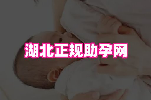 nub孕网 4